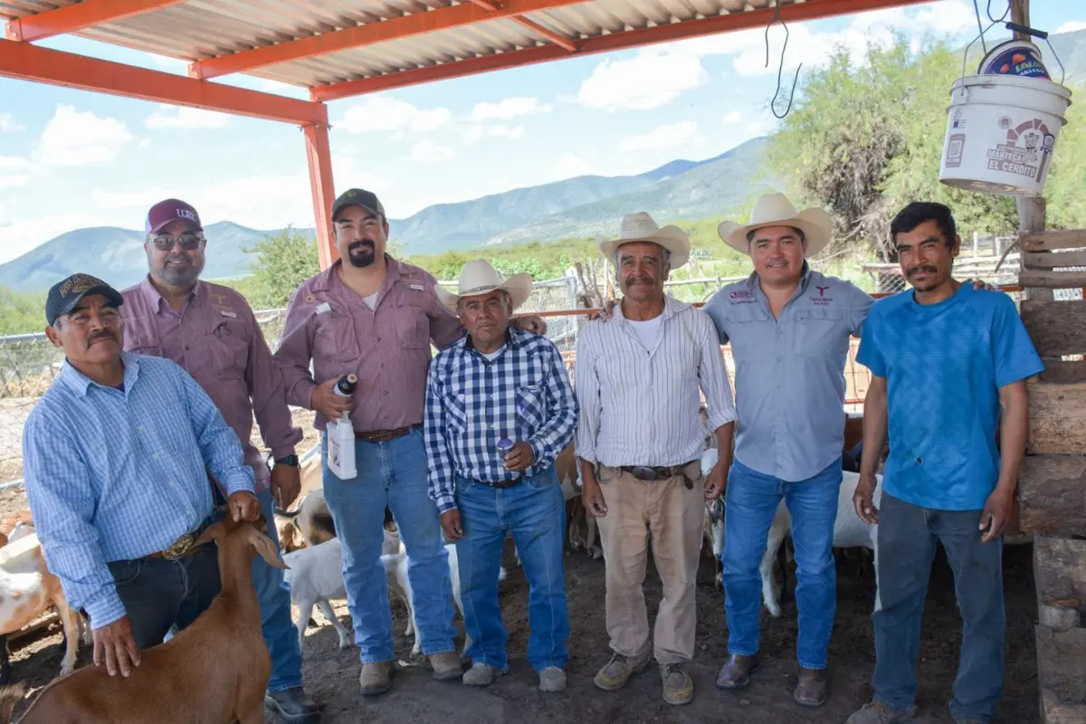 Tamaulipas entrará en la segunda fase de créditos ganaderos | Foto: SDR