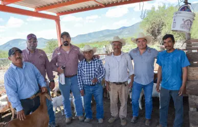 Créditos para ganaderos son una posibilidad en Tamaulipas