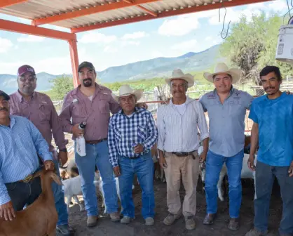 Créditos para ganaderos son una posibilidad en Tamaulipas
