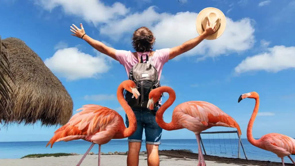 Así puedes disfrutar de  la naturaleza y el avistamiento de flamencos en Dzilam de Bravo, Yucatán