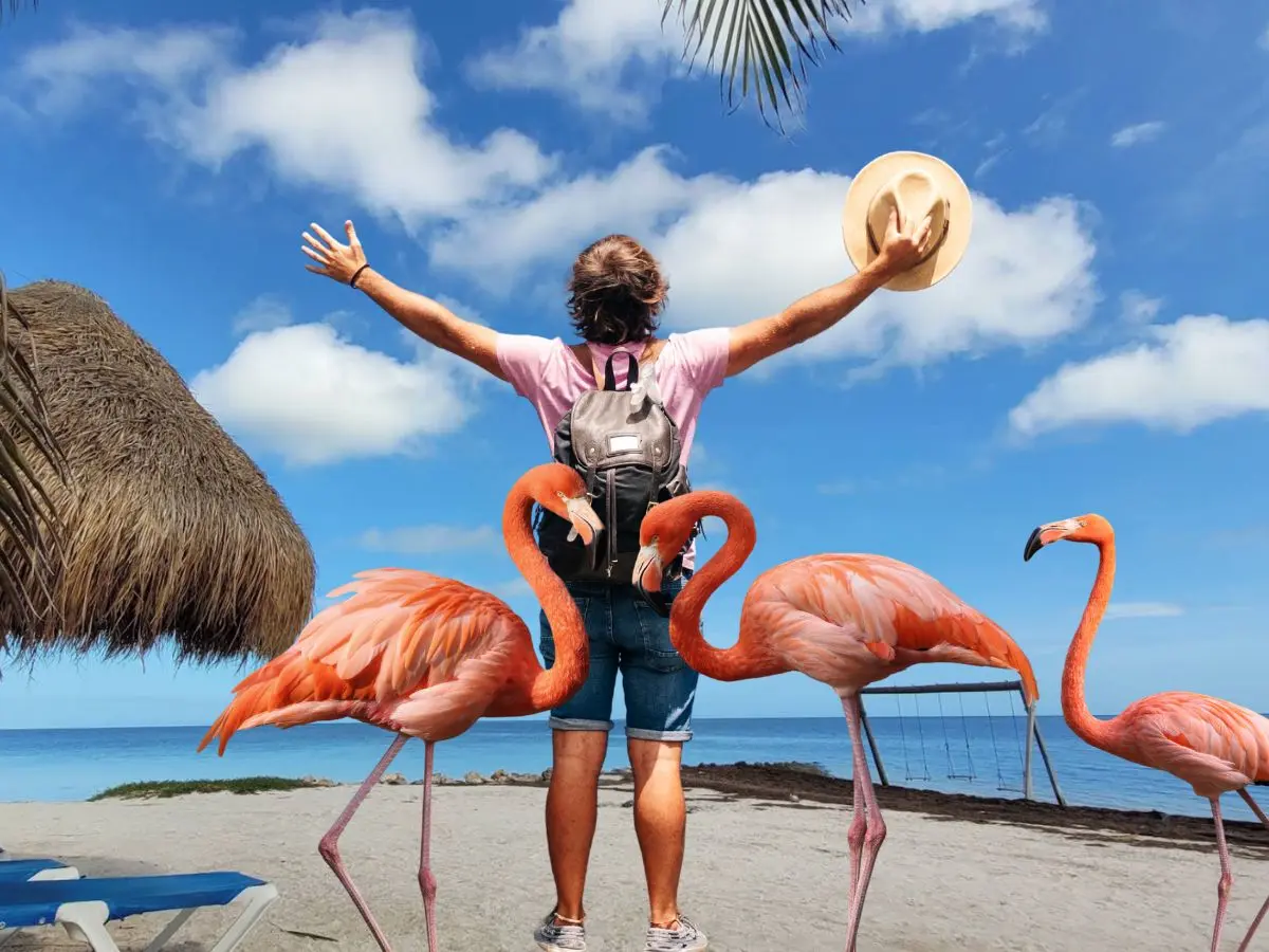 Dzilam de Bravo ofrece a sus visitantes la experiencia de observar  flamencos y otras especies con actividades al aire libre en un ambiente tranquilo y auténtico de la costa yucateca. Fuente  Rafael Serrano y Canva