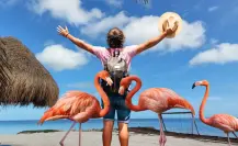 Así puedes disfrutar de  la naturaleza y el avistamiento de flamencos en Dzilam de Bravo, Yucatán