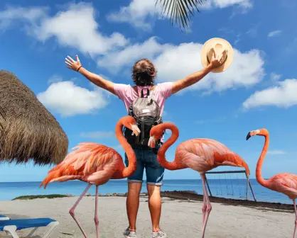 Así puedes disfrutar de  la naturaleza y el avistamiento de flamencos en Dzilam de Bravo, Yucatán