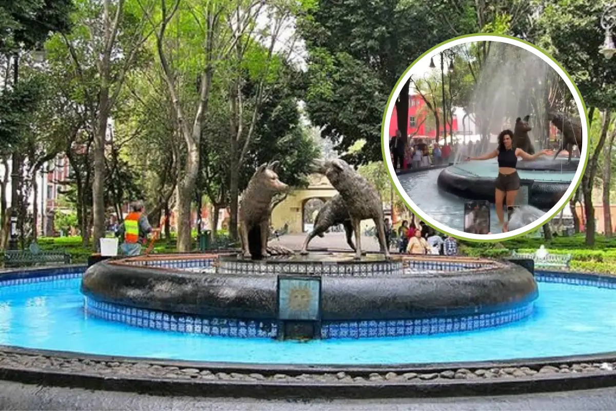 Fuente de Coyotes en Coyoacán y Flor Amargo. Foto: @EsdeProfugos | Canva