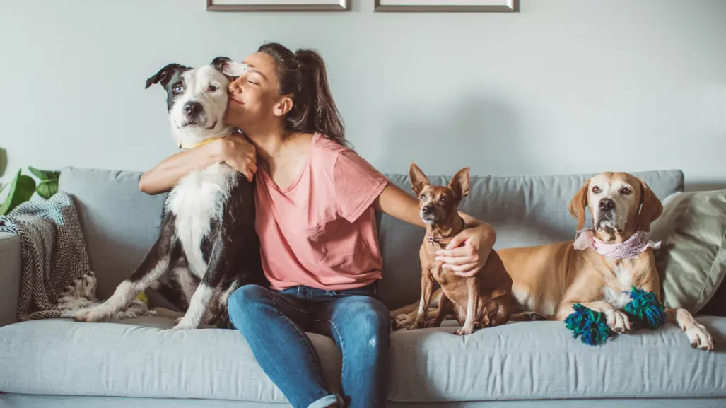 Mejora el bienestar de tu mascota con estos 5 consejos infalibles