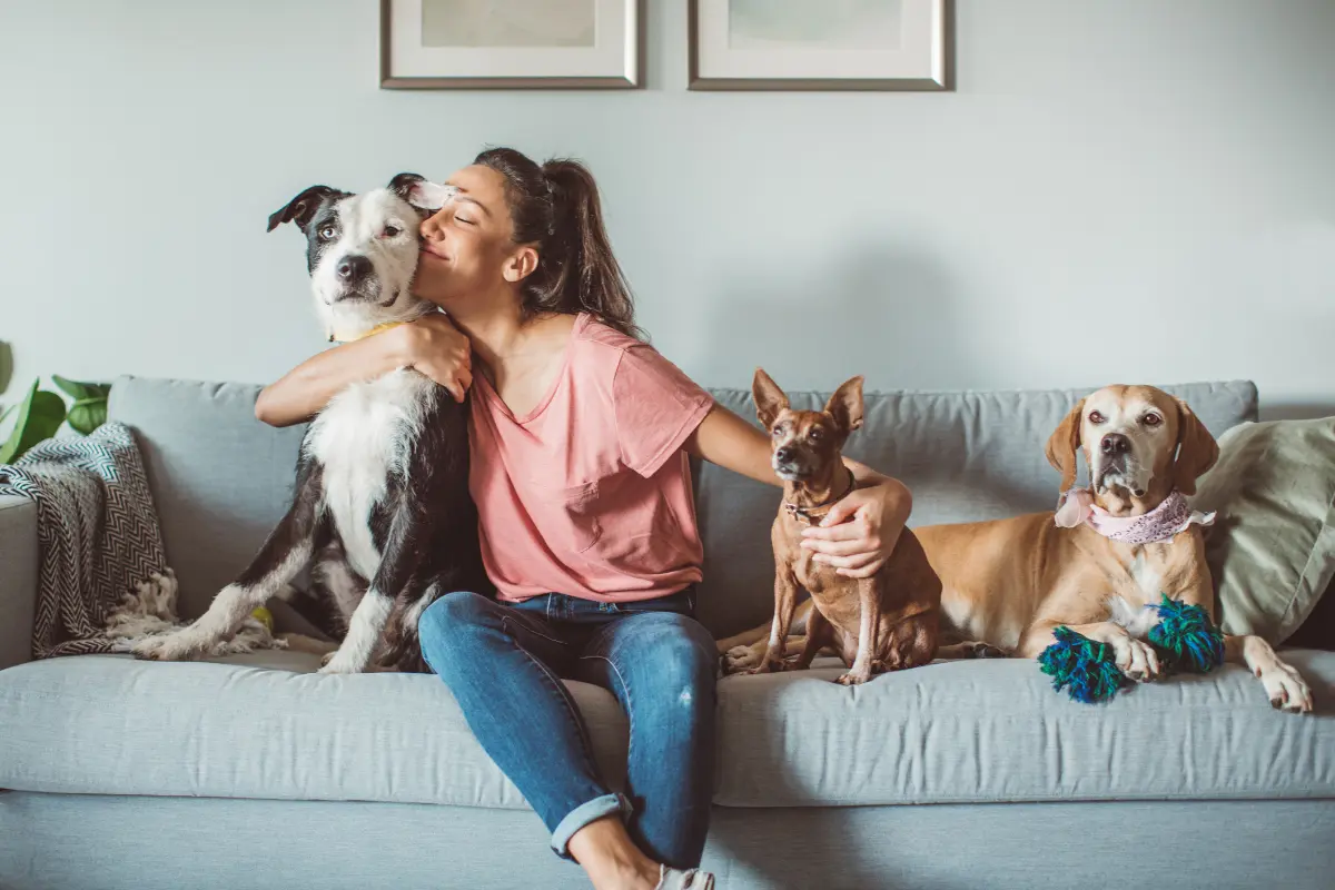 Entender el estrés que sufren nuestras mascotas es esencial para mejorar su bienestar y su calidad de vida en el hogar. Foto: Canva