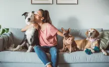 Mejora el bienestar de tu mascota con estos 5 consejos infalibles