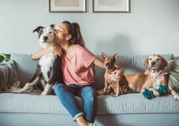Mejora el bienestar de tu mascota con estos 5 consejos infalibles