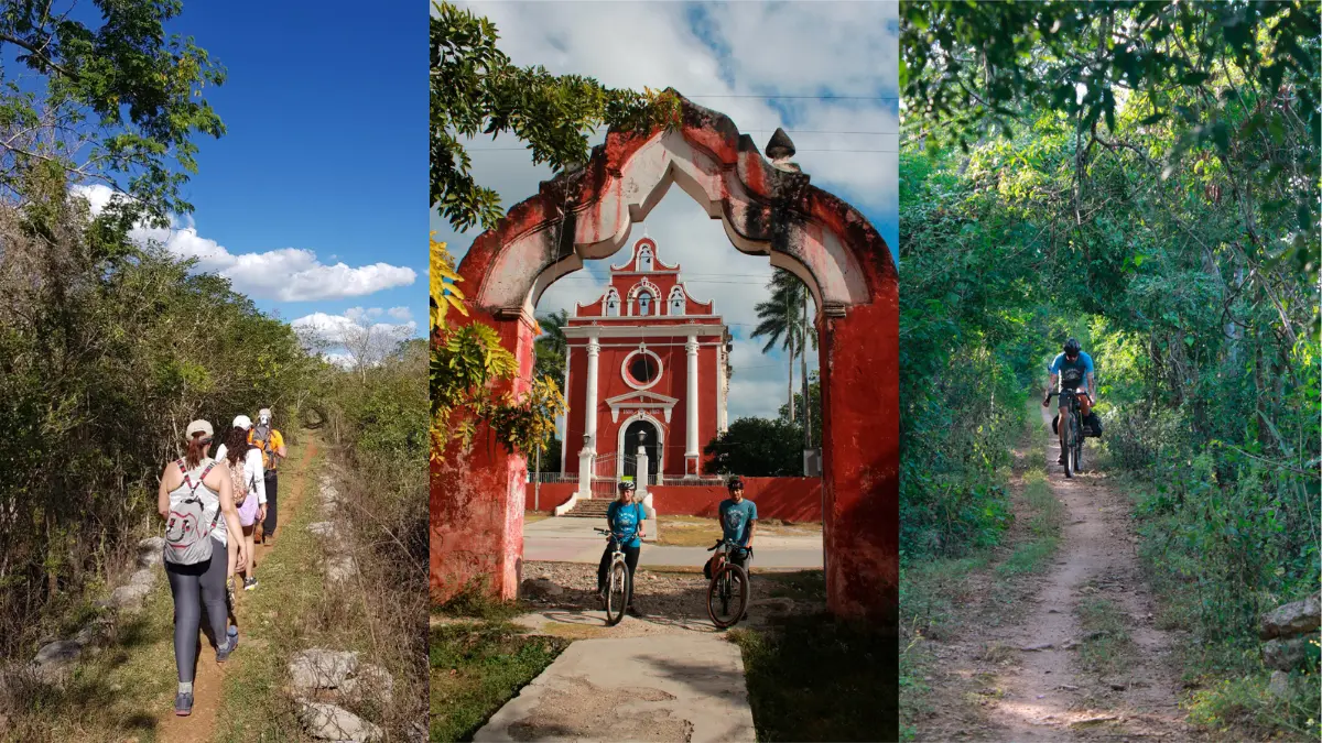 Camino del Mayab en un producto turístico sustentable Foto: Yucatán Turismo/Canva