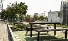 Corredores Verdes en Nuevo León: la apuesta contra la contaminación y el calor urbano