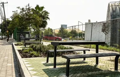 Corredores Verdes en Nuevo León: la apuesta contra la contaminación y el calor urbano