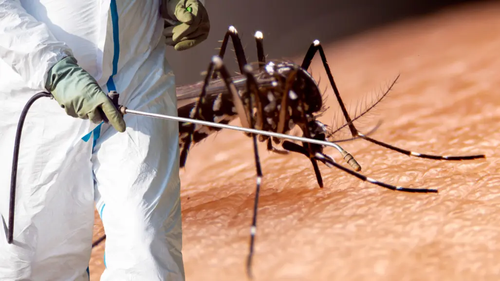 Inicia fumigación contra el dengue en La Paz; ¿cuáles colonias se nebulizan?