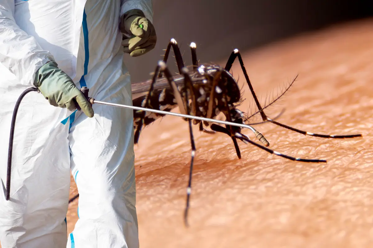 Se fumiga en colonias de La Paz para prevenir el dengue, especialmente, luego de las lluvias que hacen proliferar al mosco transmisor de la enfermedad. Fotos Ilustrativas: Canva.
