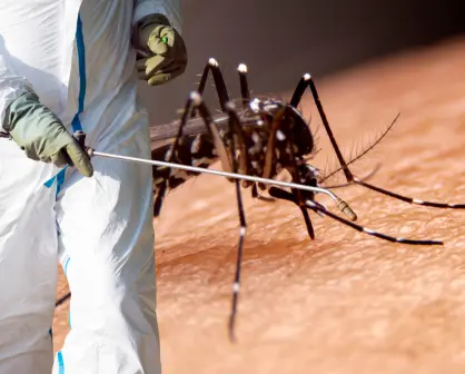 Inicia fumigación contra el dengue en La Paz; ¿cuáles colonias se nebulizan?