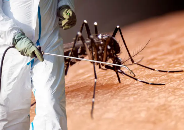 Inicia fumigación contra el dengue en La Paz; ¿cuáles colonias se nebulizan?