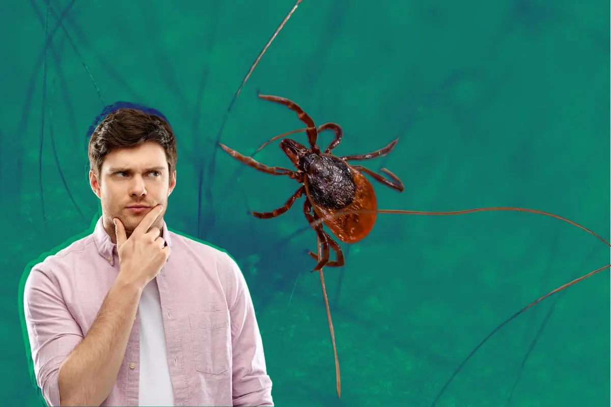 Hombre confundido y a su lado una garrapata Foto: Canva