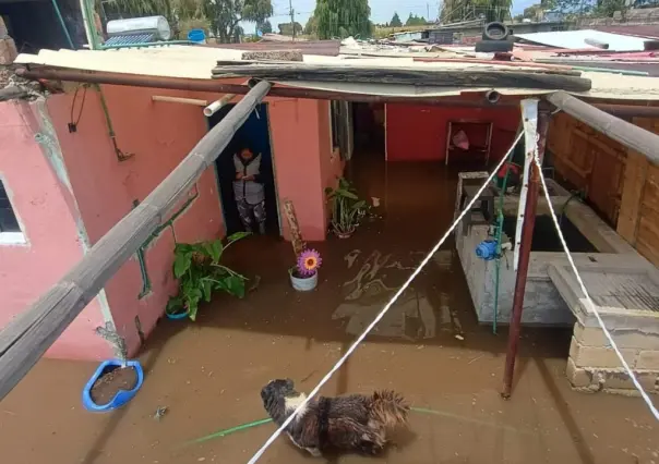 Fuertes lluvias en Edomex dejan comunidades de Toluca y Ocoyoacac completamente inundadas