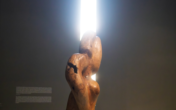imagen-cuerpo imagen-cuerpo