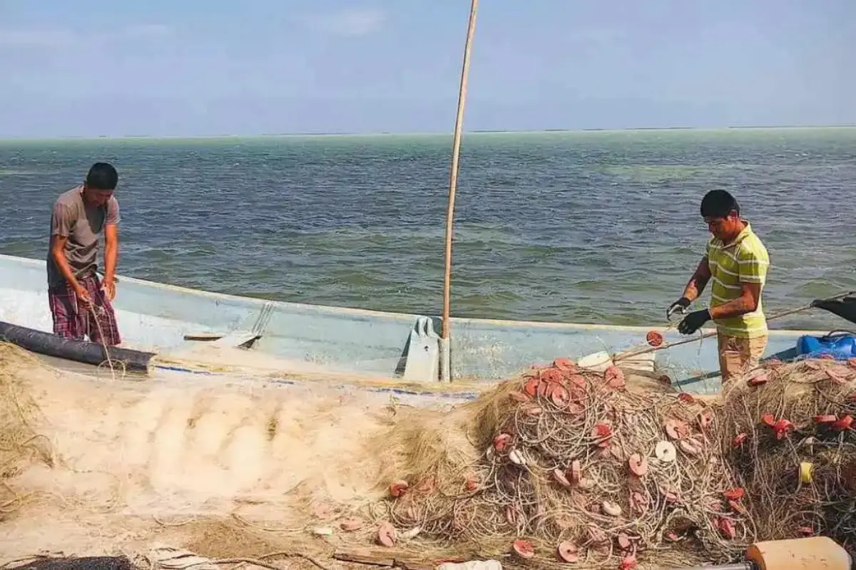 Lo que para la industria espacial representa un avance tecnológico, para los pescadores de Tamaulipas se ha convertido en un golpe a su principal fuente de sustento. Foto: SEMARNAT