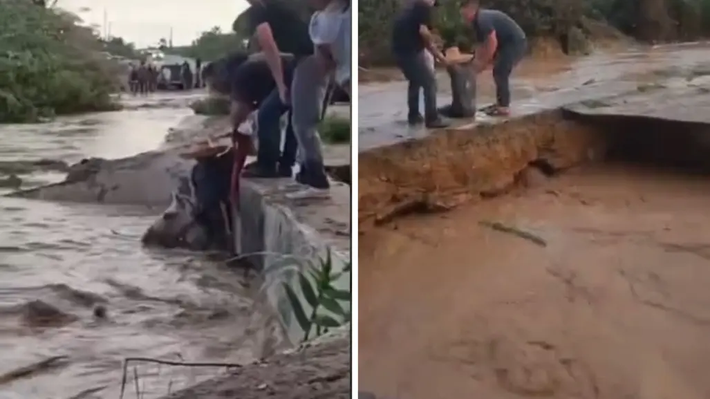 Rescate de hombre y caballo del socavón en Todos Santos se viraliza en redes