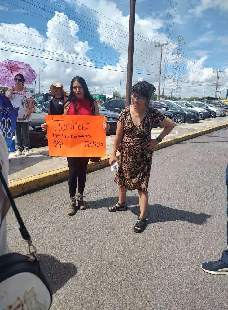 imagen recuadro