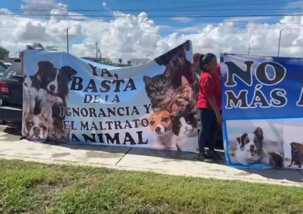 Perritos involucrados en muerte de bebe en Matamoros son exonerados y animalistas celebran decisión