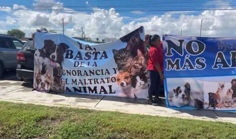 La resolución fue recibida con alivio por activistas que, desde un inicio, defendieron a los caninos y exigieron una investigación objetiva. Foto: Animalistas de Tamaulipas