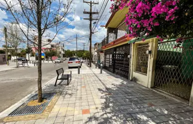 Corredores Verdes en Nuevo León ¿qué problemáticas se solucionan con el proyecto?