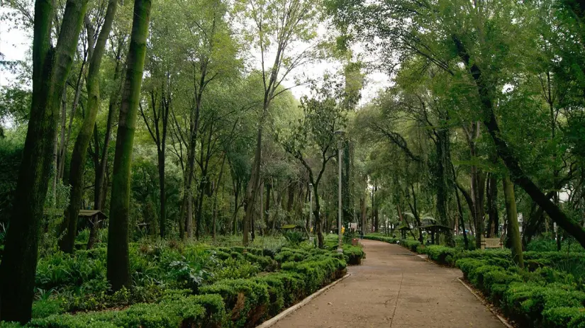 Foto: Mexico City