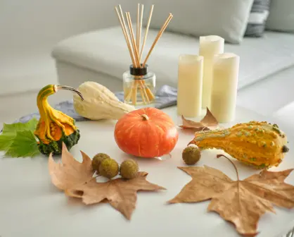 ¡Aprovecha los espacios! 5 ideas de decoración para que tu hogar tenga estilo y comodidad este otoño