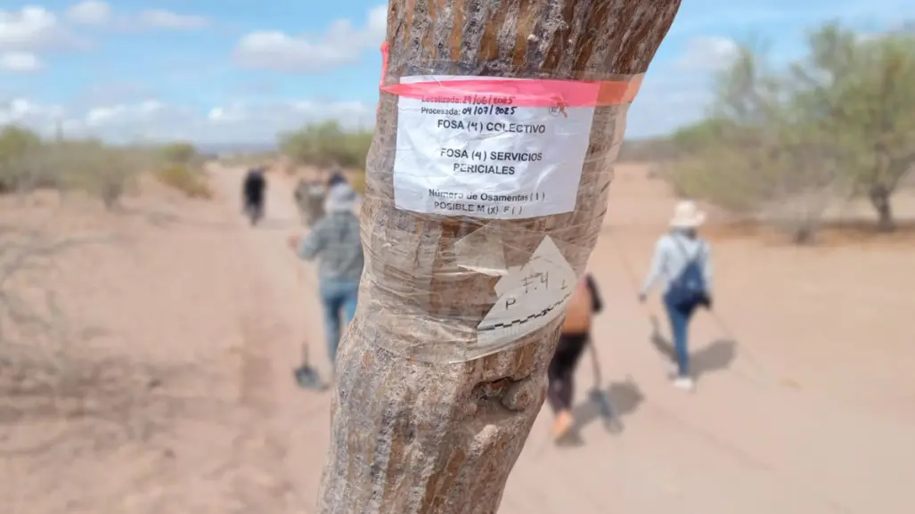 Aumentan los cuerpos localizados en fosas clandestinas en La Paz