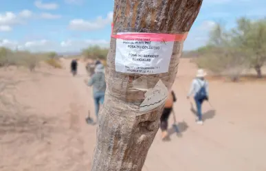 Aumentan los cuerpos localizados en fosas clandestinas en La Paz