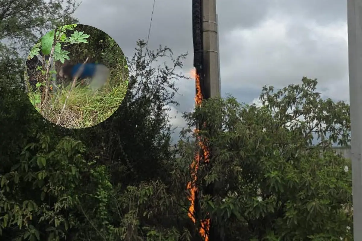 Esta persona no fue identificada Foto: Canva