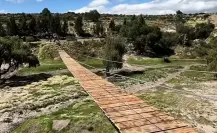 Este municipio estrena el Puente Colgante más grande del Edomex