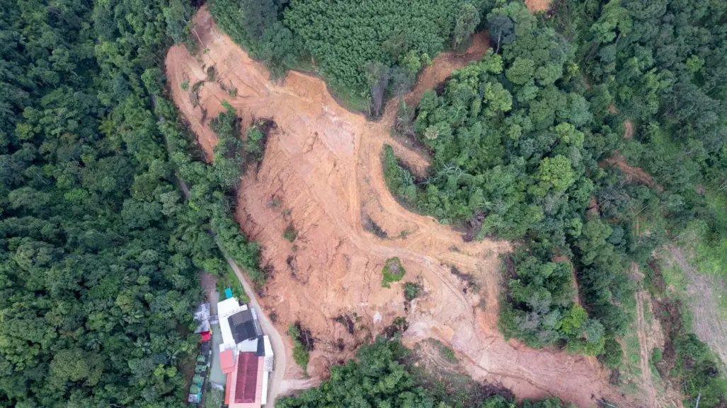 Urbanización acelerada y pérdida de bosques en el Edomex: ¿quién paga el precio?