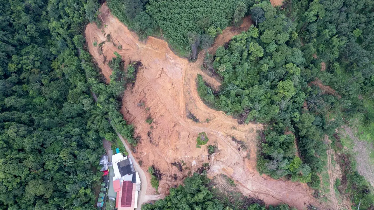 Urbanización acelerada y pérdida de bosques en el Edomex: ¿quién paga el precio? Foto: Canva