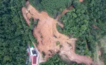 Urbanización acelerada y pérdida de bosques en el Edomex: ¿quién paga el precio?