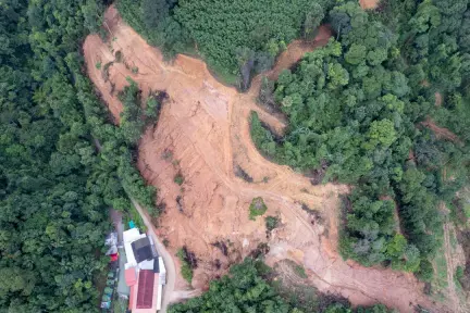 Urbanización acelerada y pérdida de bosques en el Edomex: ¿quién paga el precio? Urbanización acelerada y pérdida de bosques en el Edomex: ¿quién paga el precio?