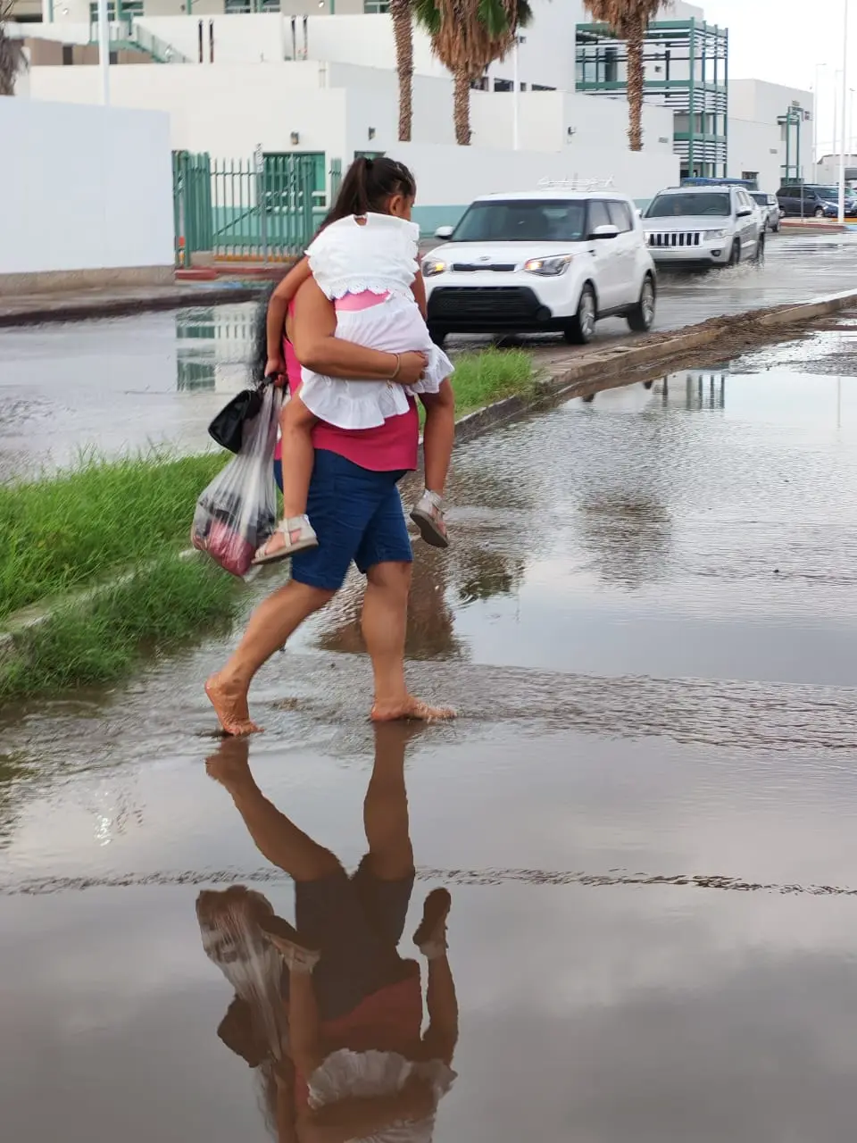 Foto: Héctor Romero / POSTA Baja California Sur.