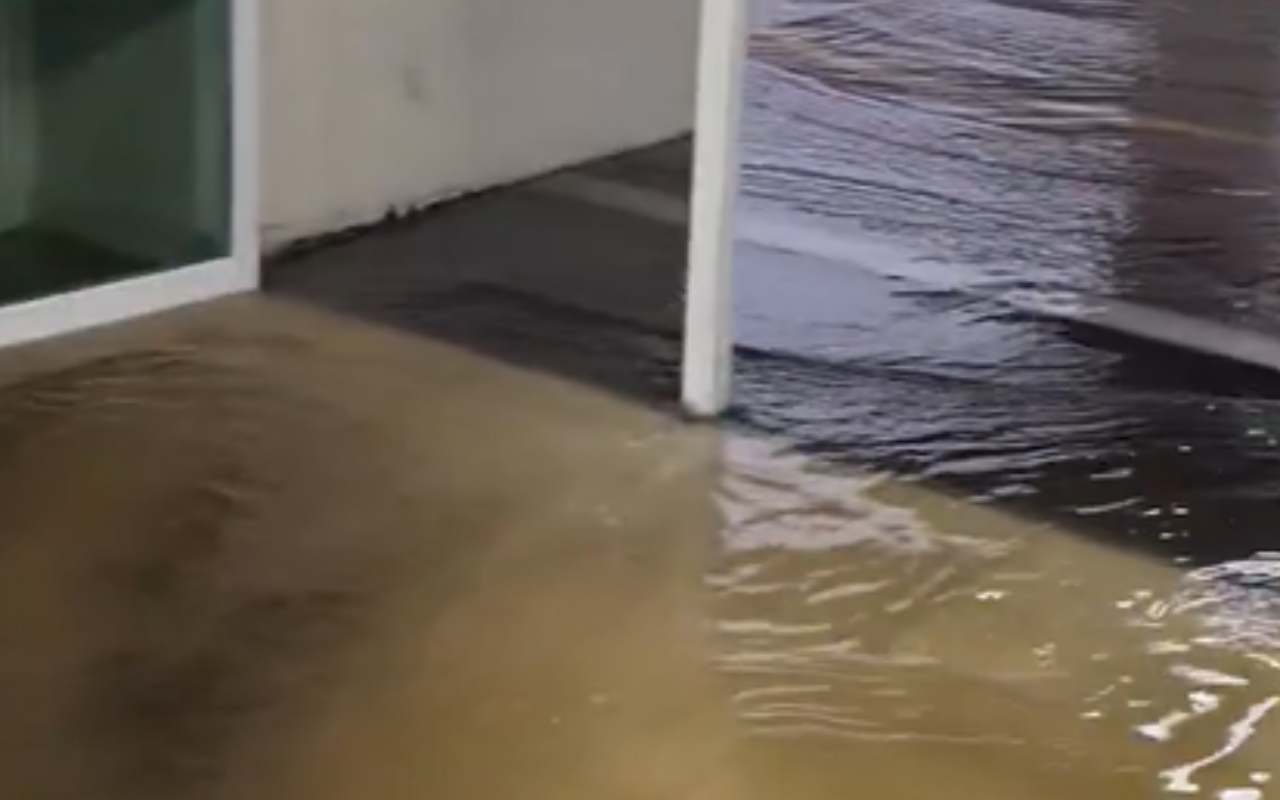 imagen-cuerpo imagen-cuerpo