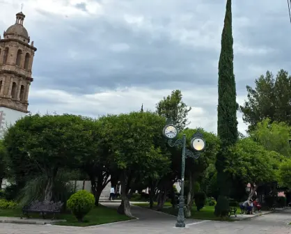 El jardín de Durango en el que puedes descansar tras recorrer el Corredor Constitución