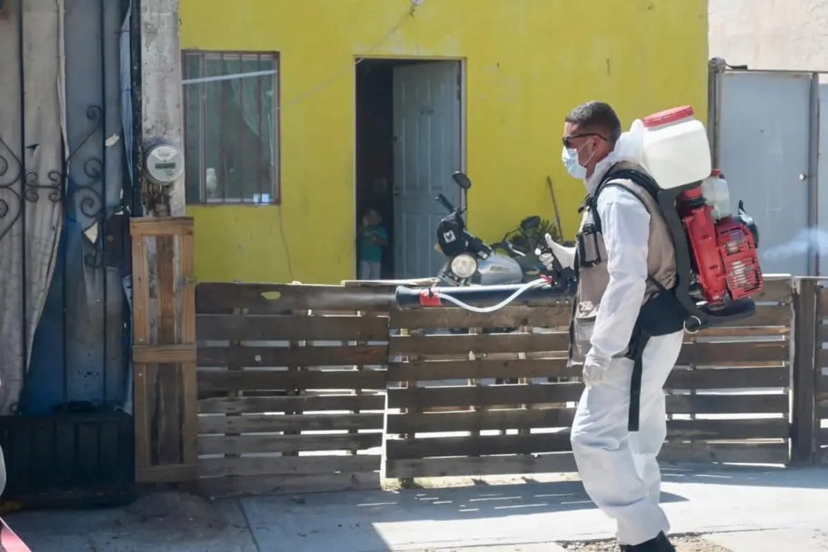 El dengue suele presentarse con síntomas leves, pero en casos graves puede ser mortal. /Foto: Secretaría de Salude de Coahuila
