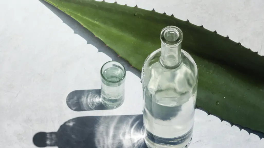 Esto se sabe del mezcal artesanal que se producirá en el altiplano de Tamaulipas