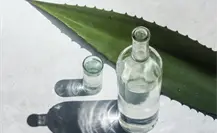 Esto se sabe del mezcal artesanal que se producirá en el altiplano de Tamaulipas Esto se sabe del mezcal artesanal que se producirá en el altiplano de Tamaulipas