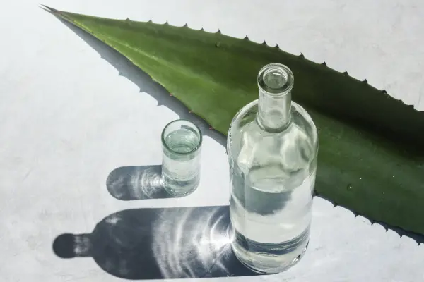 Esto se sabe del mezcal artesanal que se producirá en el altiplano de Tamaulipas