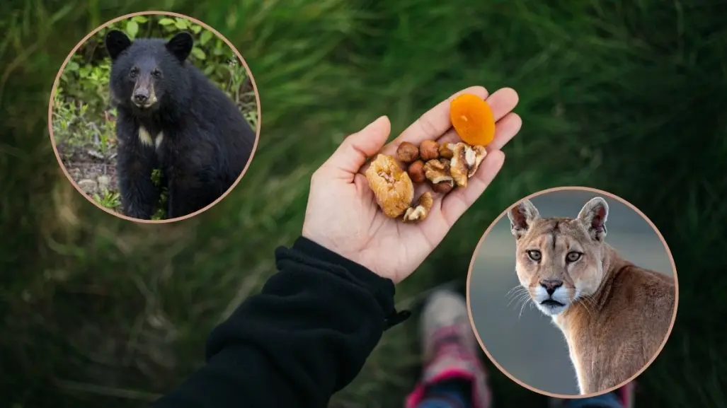 Parques y Vida Silvestre de Nuevo León llama a cuidar la fauna con manejo responsable de residuos
