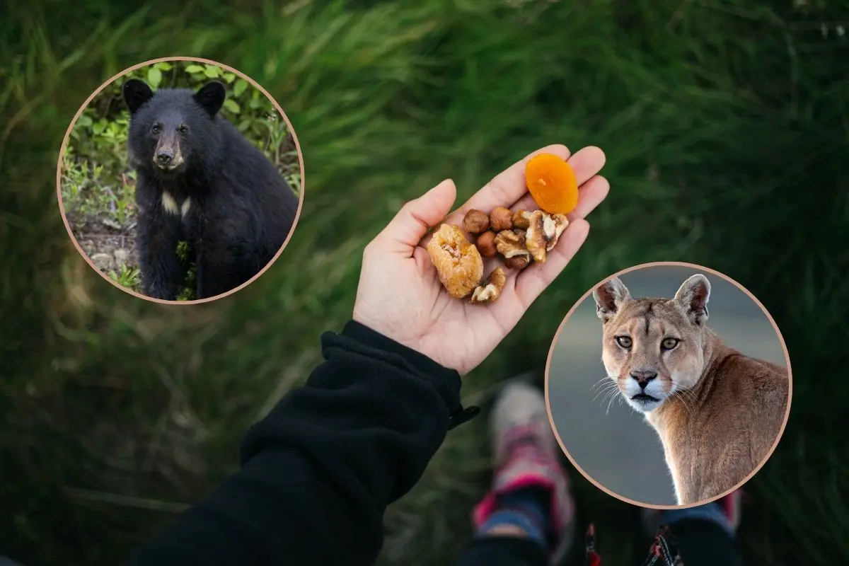 Parques y Vida Silvestre de Nuevo León hizo un llamado a los habitantes. Foto: CANVA