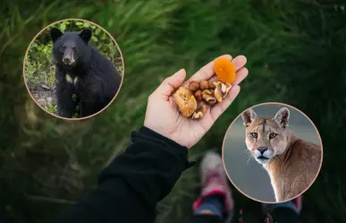 Parques y Vida Silvestre de Nuevo León llama a cuidar la fauna con manejo responsable de residuos