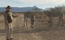La Anacahuita, el rancho de Mauricio Fernández que tiene jirafas y una riqueza natural