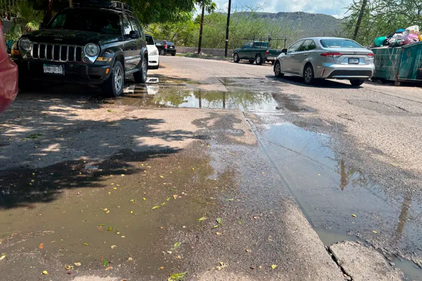 Foto: Héctor Romero.